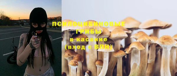 индика Абдулино