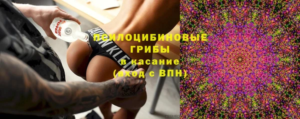индика Абаза