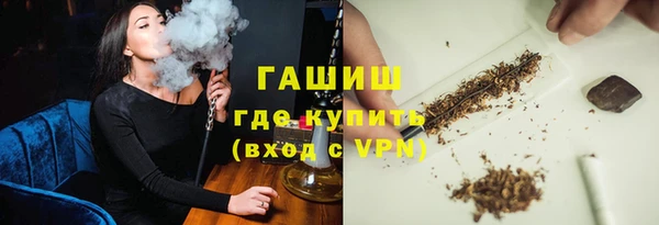 индика Абаза