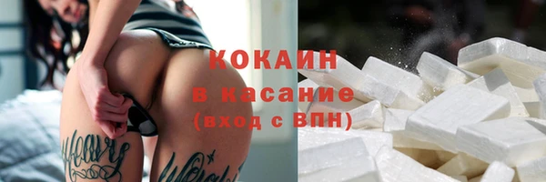 индика Абаза