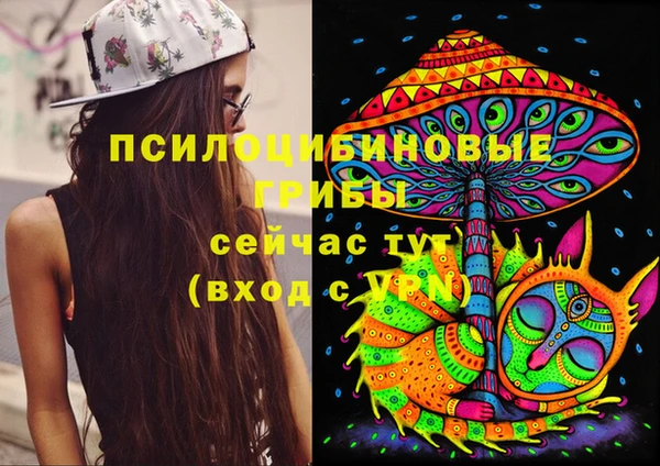 индика Абдулино