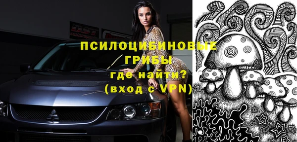 индика Абдулино