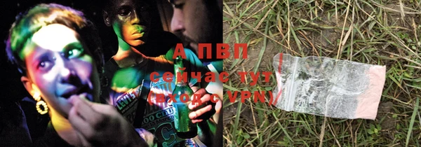 индика Абаза