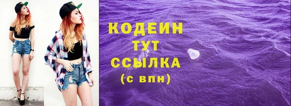 индика Абаза