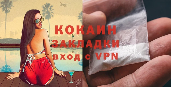 индика Абаза