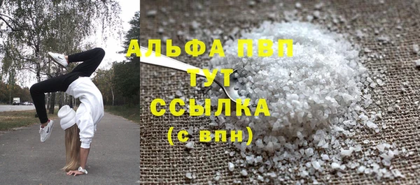индика Абаза